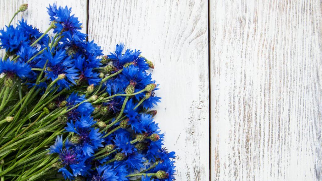 Where is CorningWare Made? Chef Rick